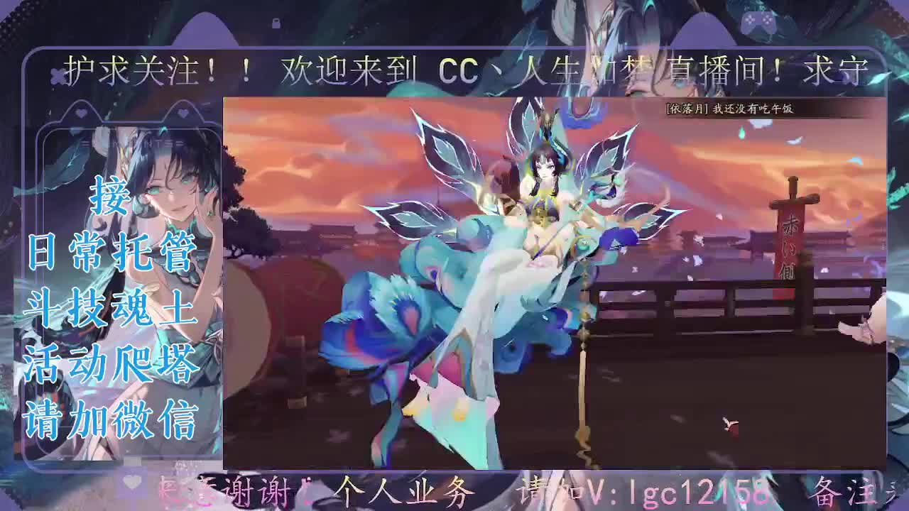 打打斗技，接斗技魂土托管 第2段