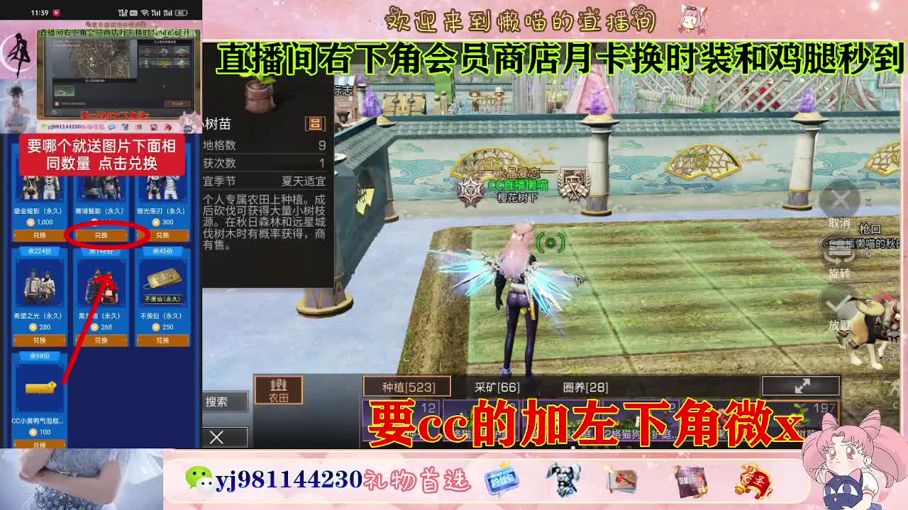普通服 共创服永久cc秒到 第2段