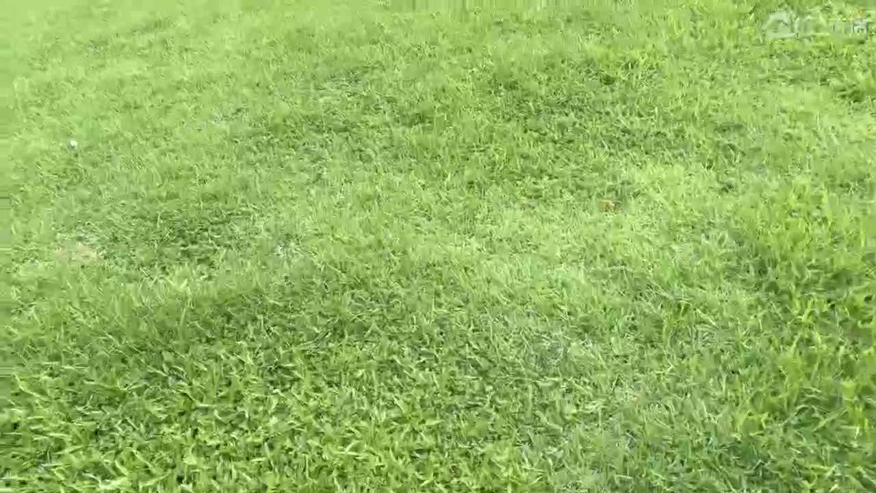 爬山水时常 第2段