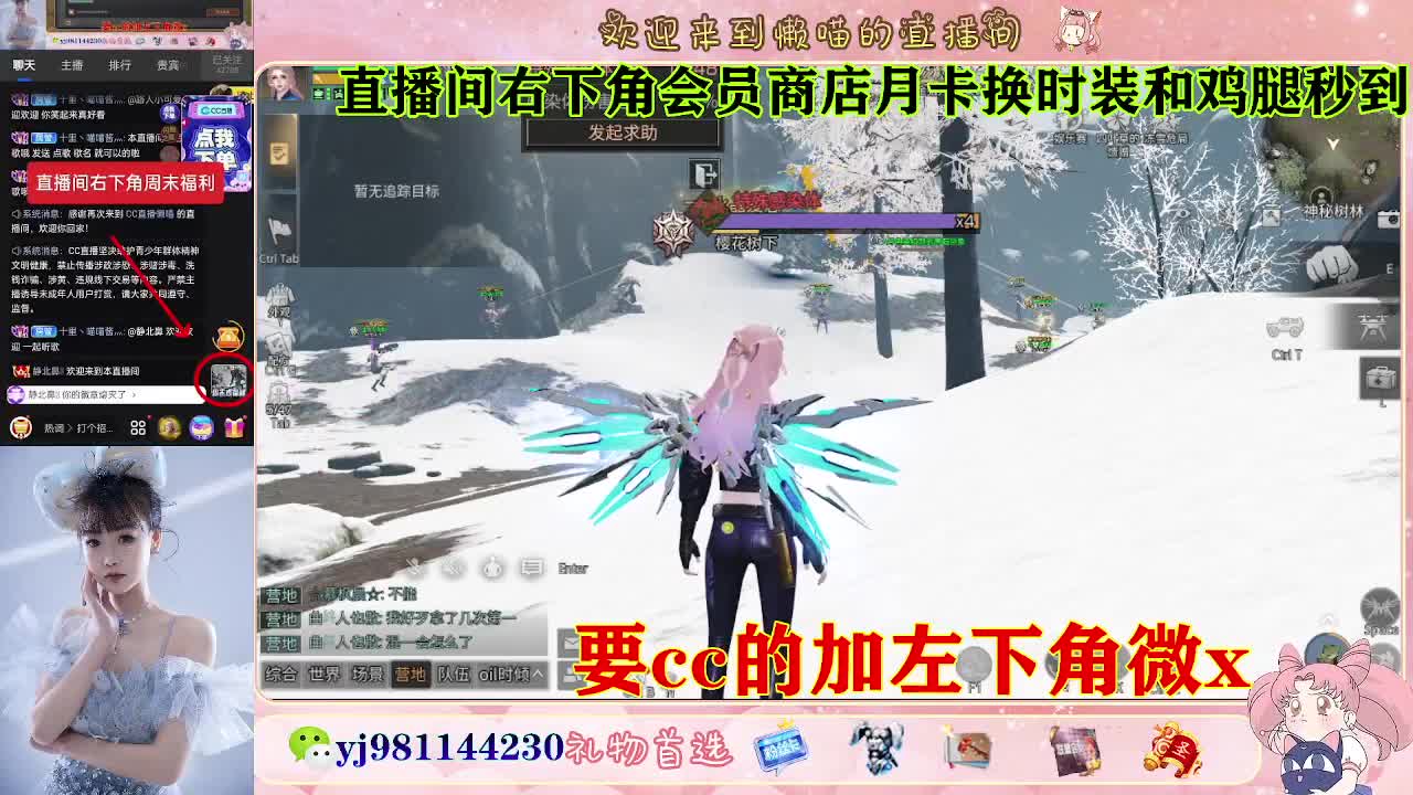 普通服 共创服永久cc秒到 第3段