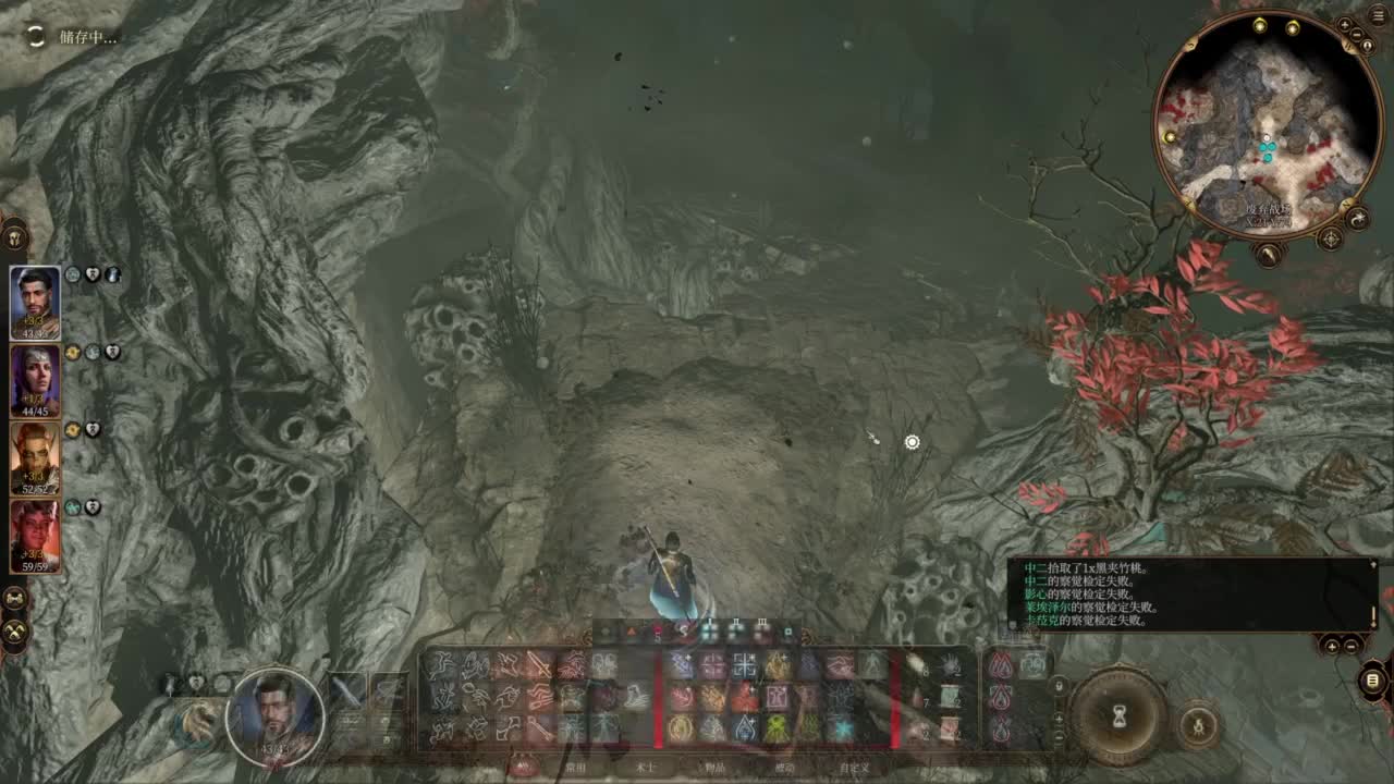 随便玩系列-博德之门3 第2段