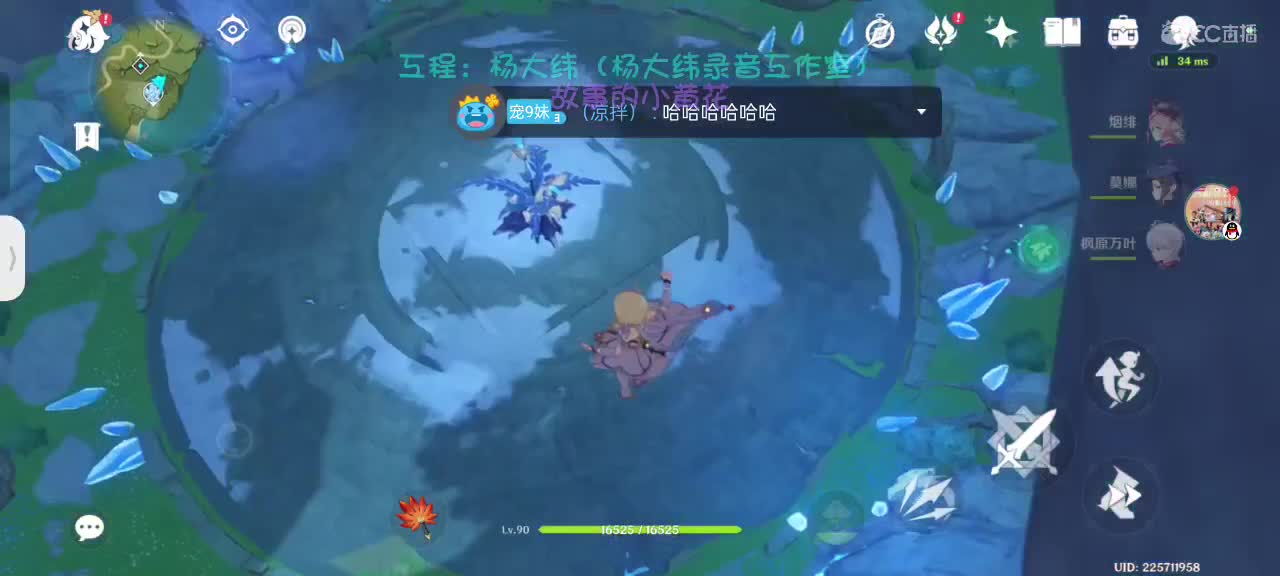 沉浸式打猫 第2段