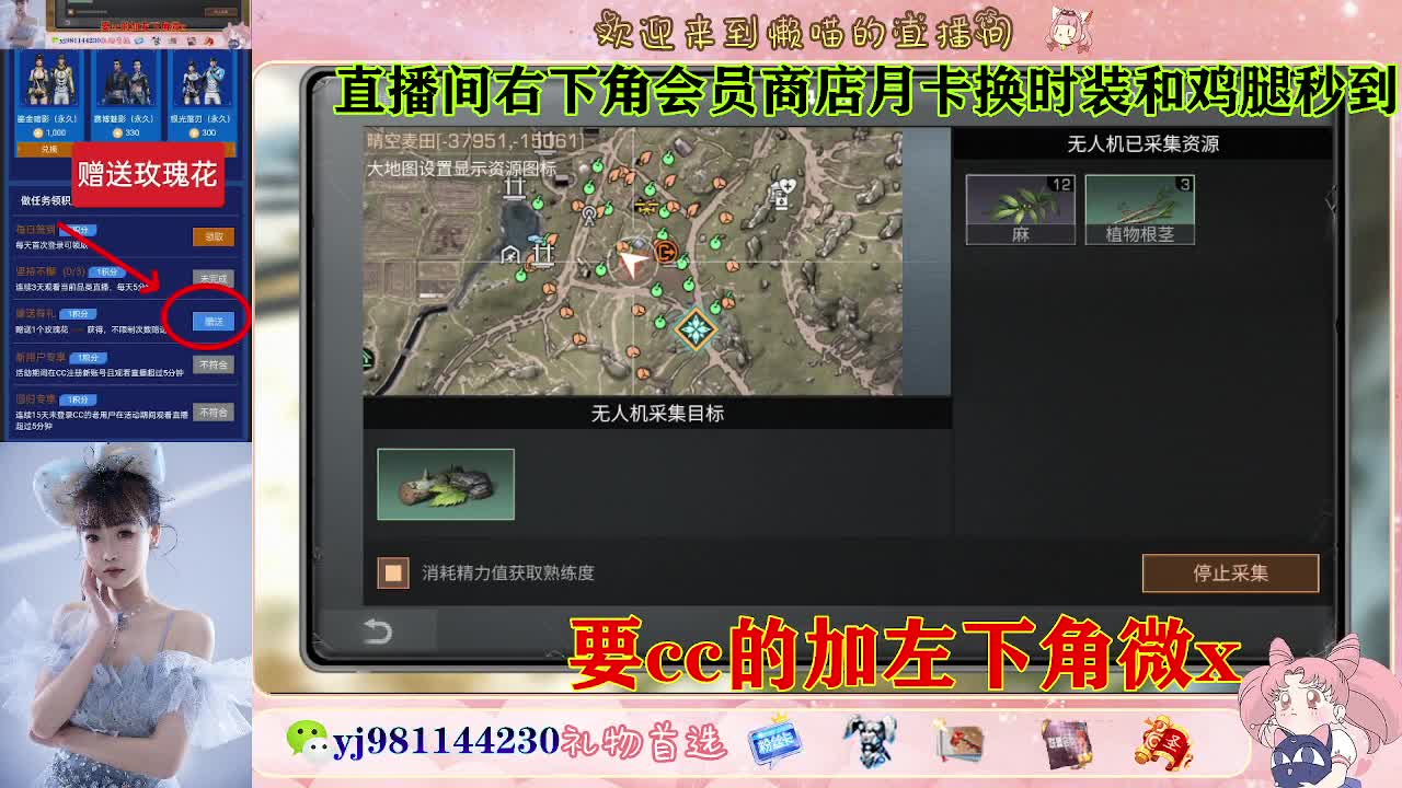 普通服 共创服永久cc秒到 第6段
