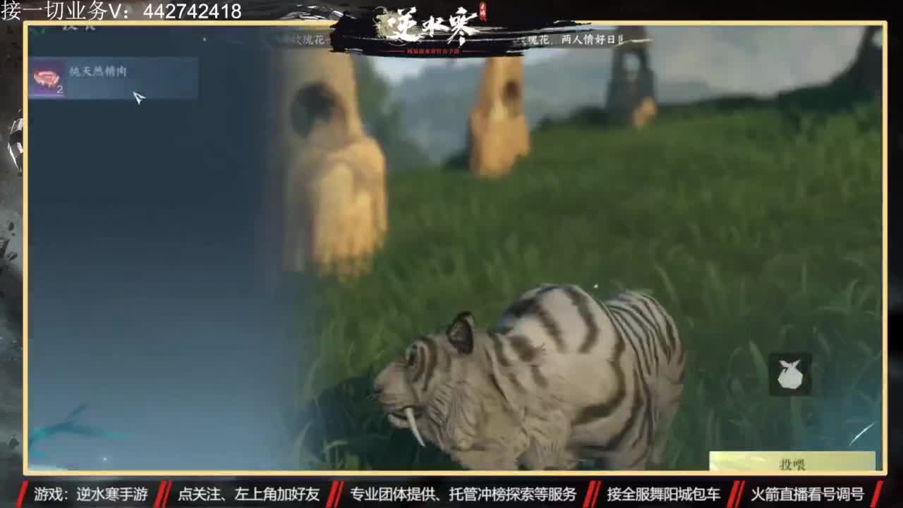 高端 私人订制 第4段