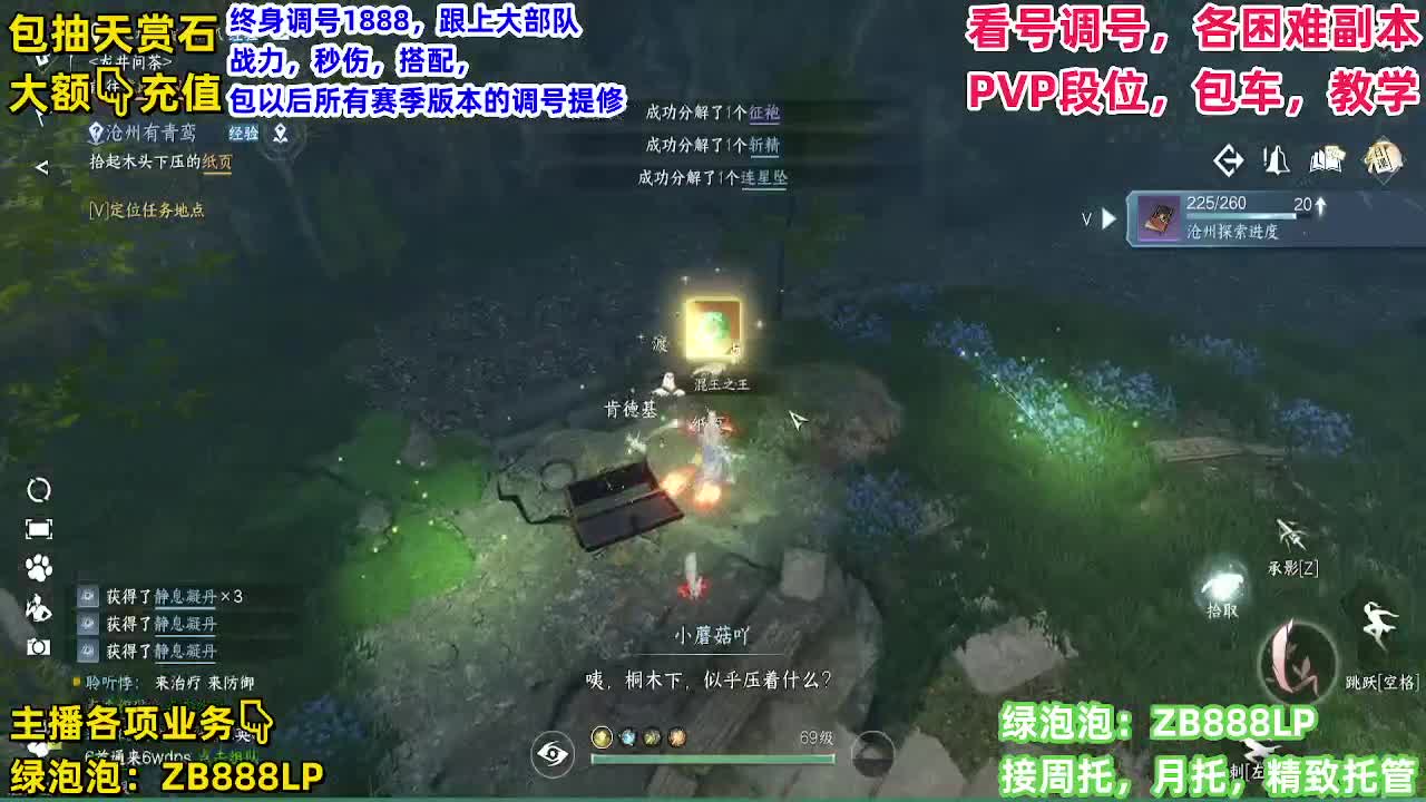 顶级九灵，副本，调号养号，竞技， 托管 第11段