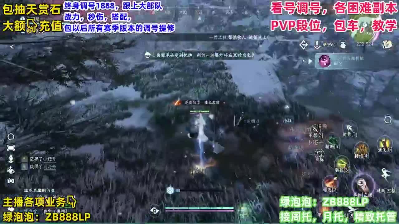 顶级九灵，副本，调号养号，竞技， 托管 第7段