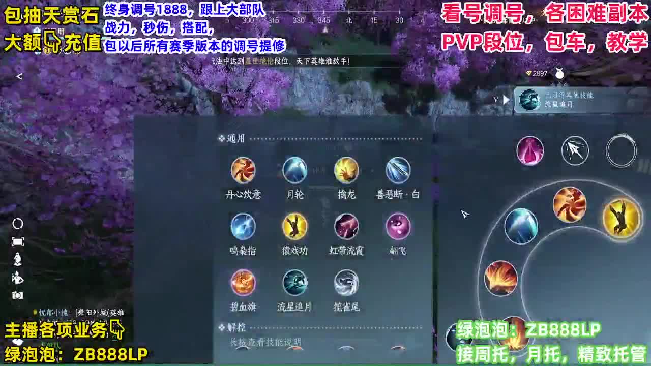 顶级九灵，副本，调号养号，竞技， 托管 第3段