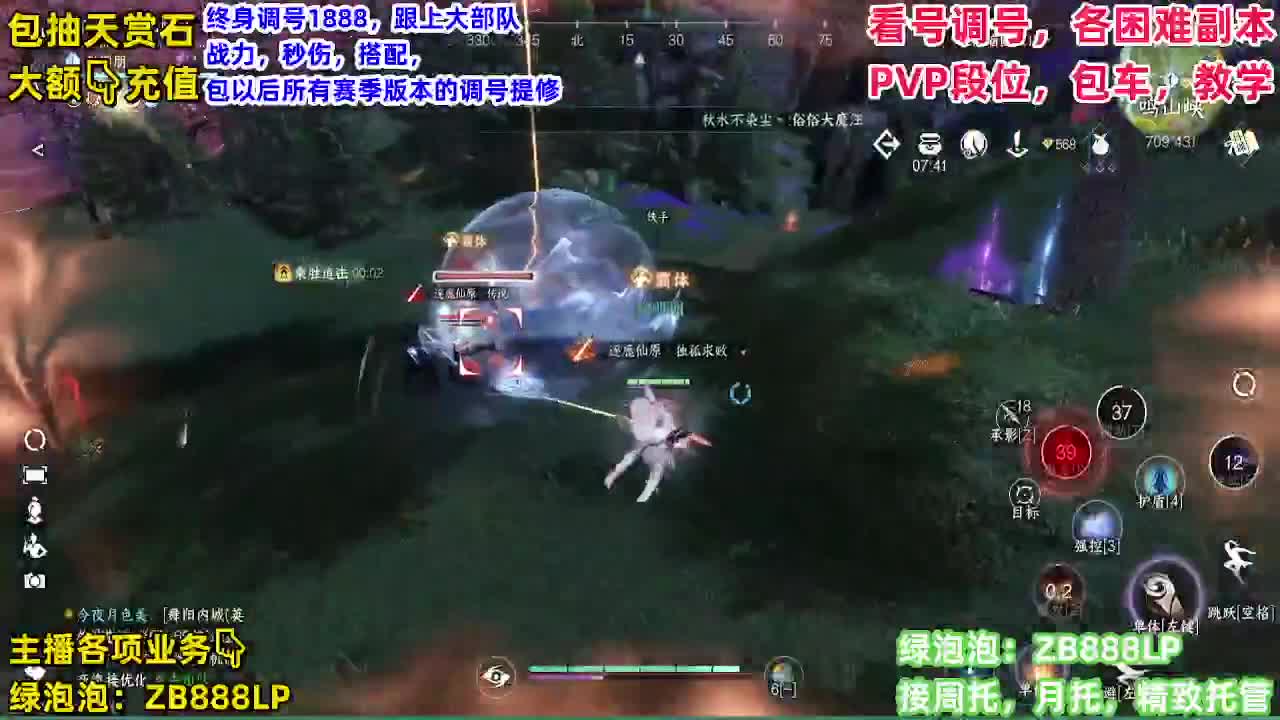 顶级九灵，副本，调号养号，竞技， 托管 第8段