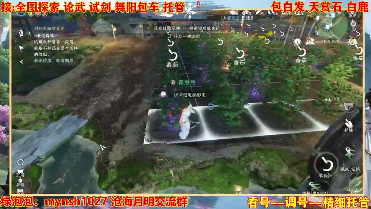 接H舞阳指挥教学 第1段