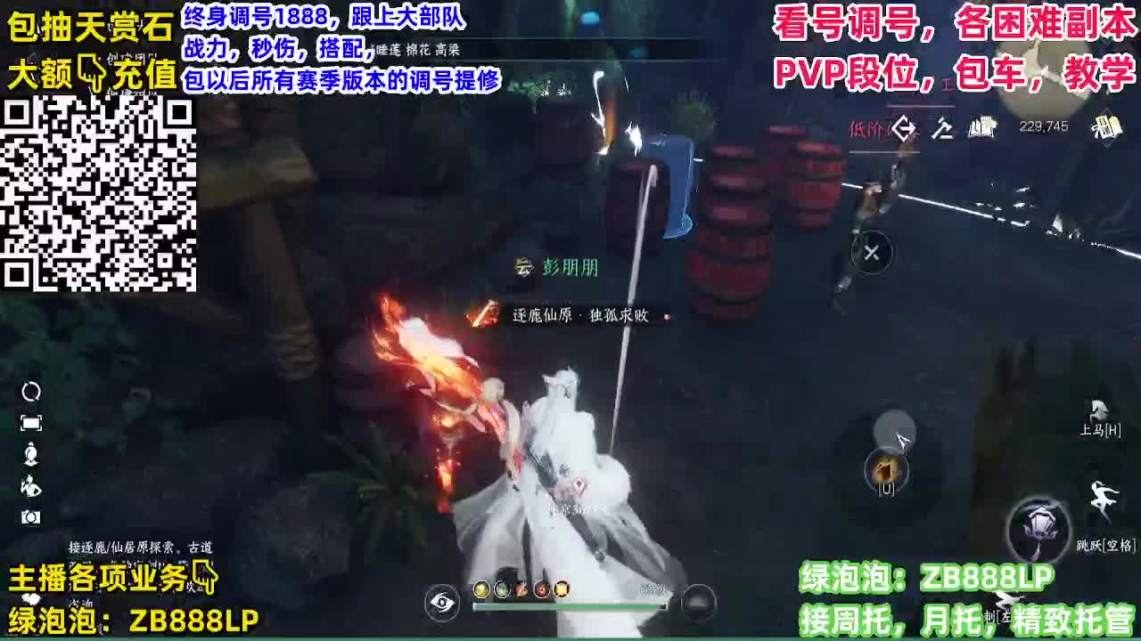 顶级九灵，副本，调号养号，竞技， 托管 第1段