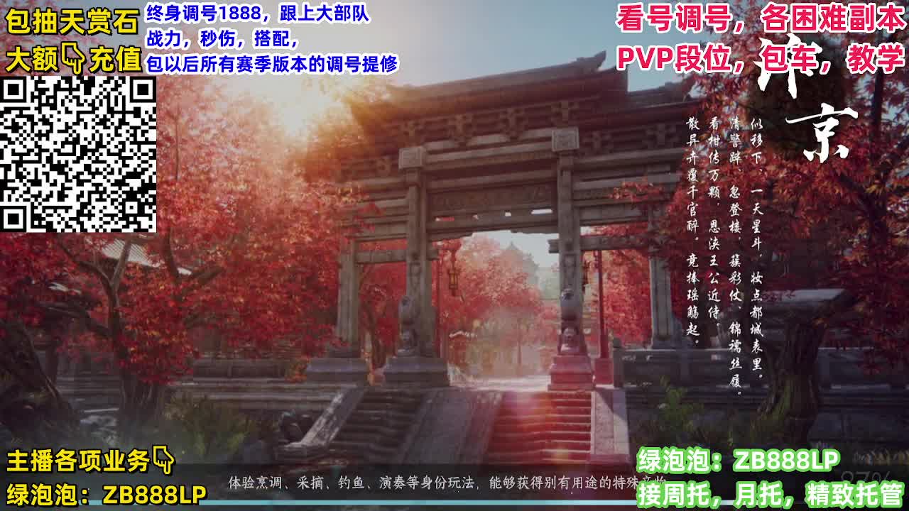 顶级九灵，副本，调号养号，竞技， 托管 第11段