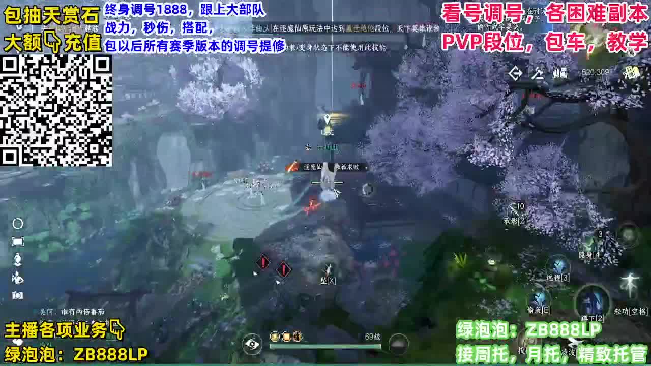 顶级九灵，副本，调号养号，竞技， 托管 第12段