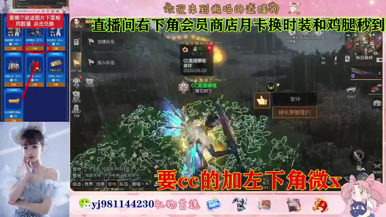 正式服30换cc 第4段