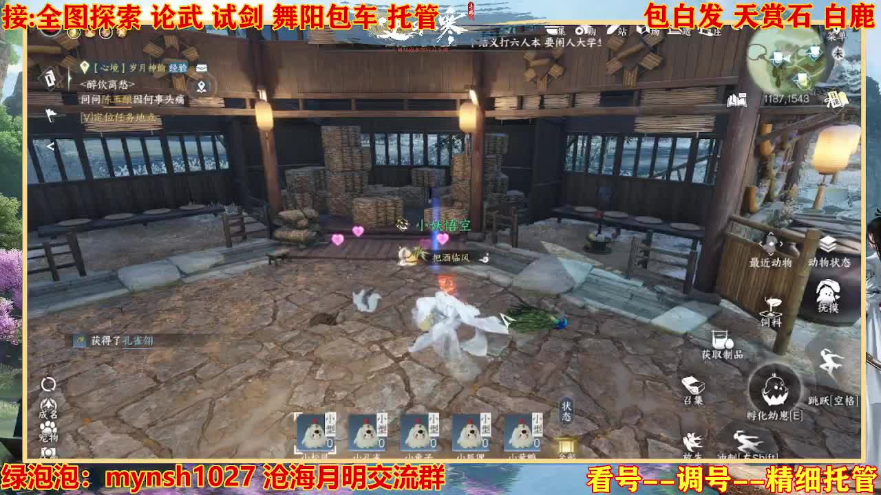 接H舞阳指挥教学 第8段