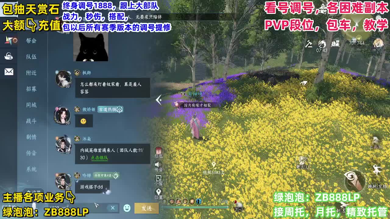 顶级九灵，副本，调号养号，竞技， 托管 第3段