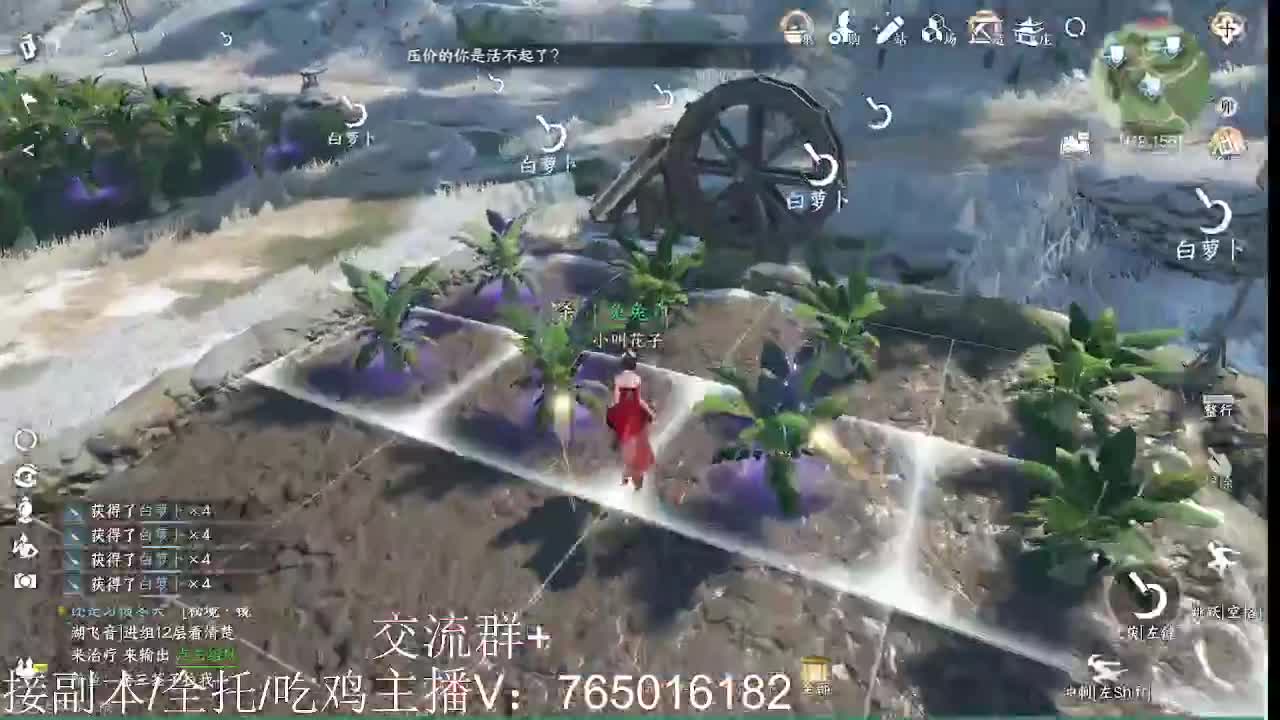 免费调碎梦神相 第2段