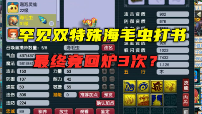 梦幻西游：罕见双特护海毛虫打书，最终竟回炉3次？经历真曲折！