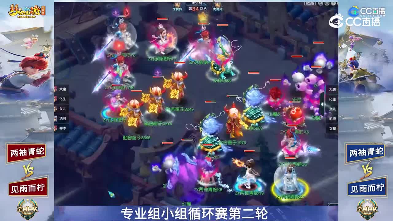【2023全民PK赛】专业组小组赛第二轮：两袖青蛇VS见雨而柠【CC情报站】