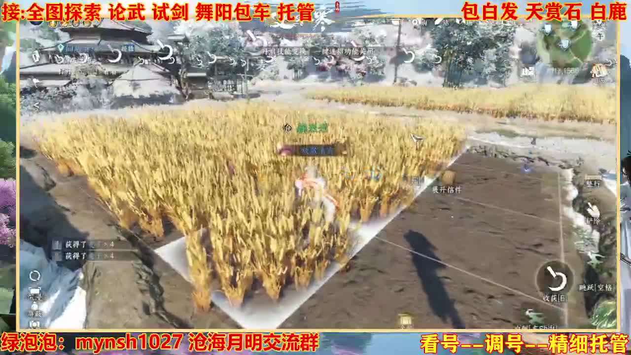 接H舞阳指挥教学 第1段