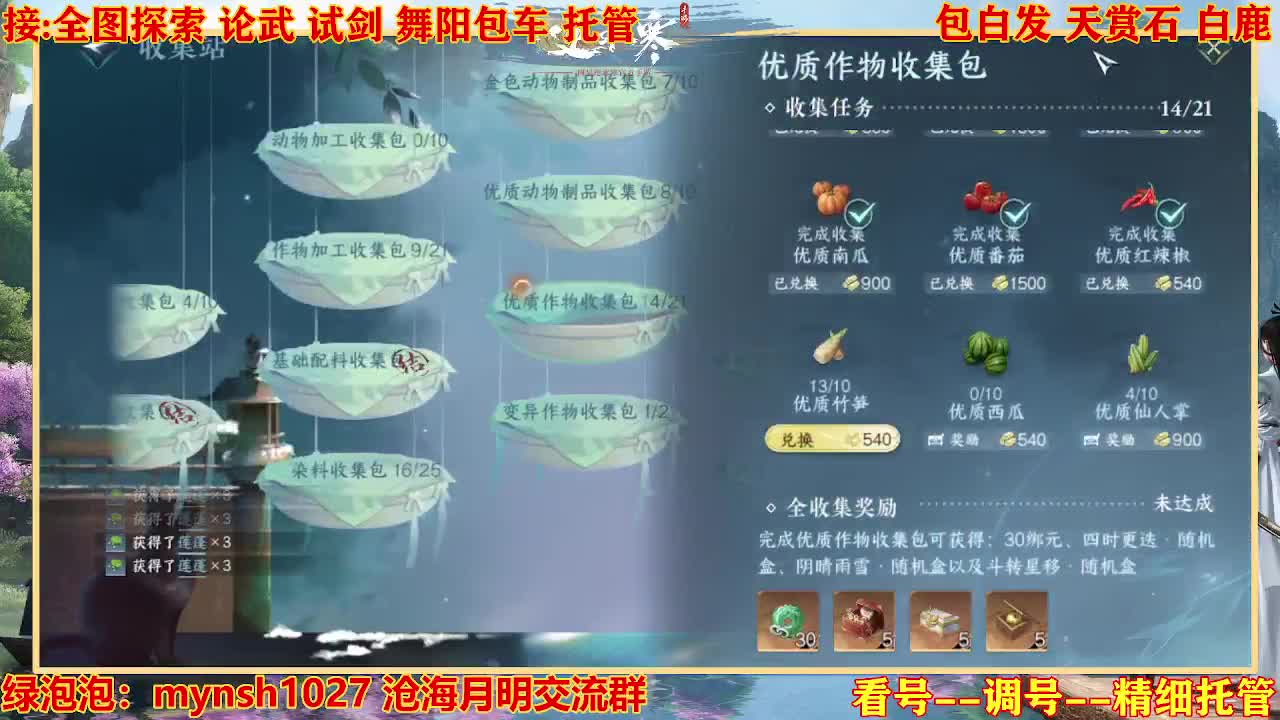 接H舞阳指挥教学 第7段