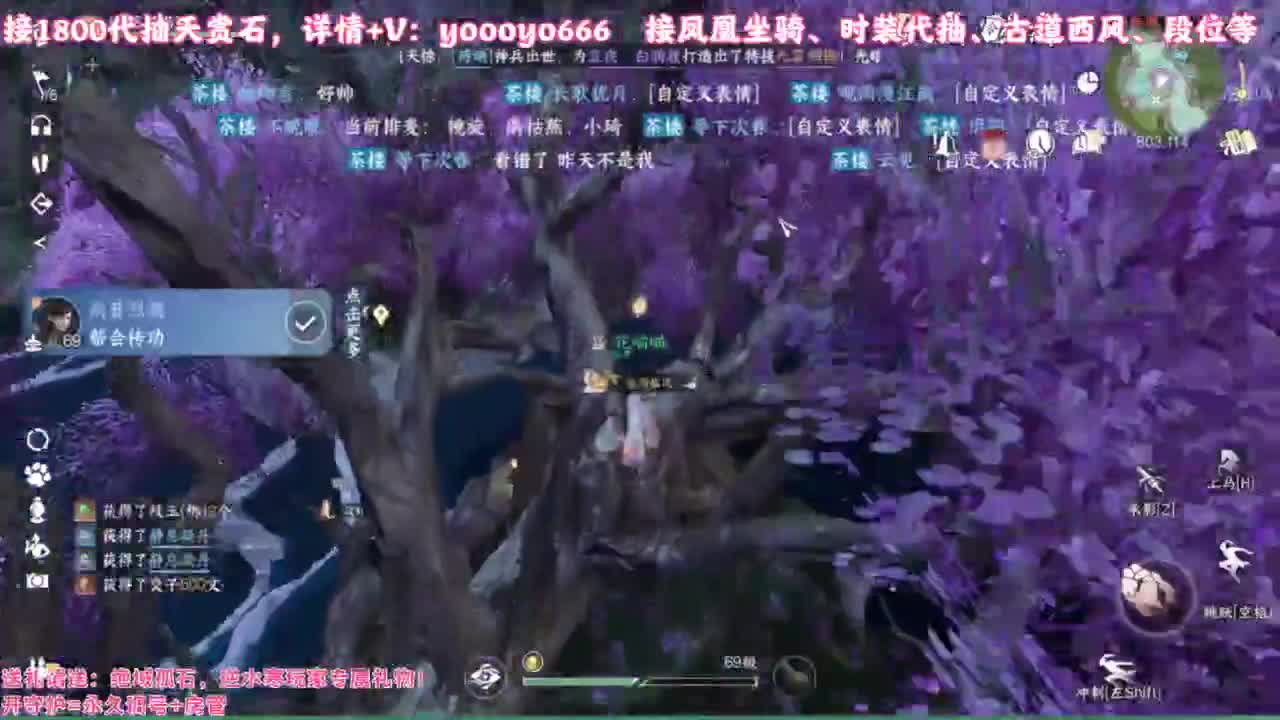 英雄舞阳 新本 段位 接各种 第4段