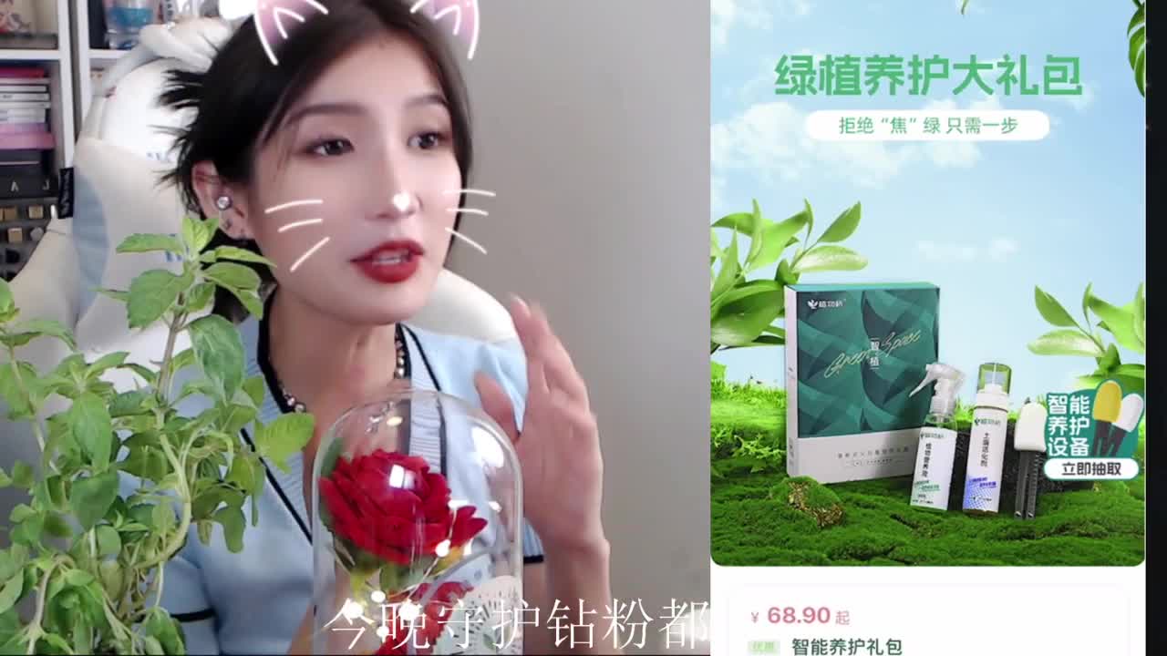 植物桥~ 第5段