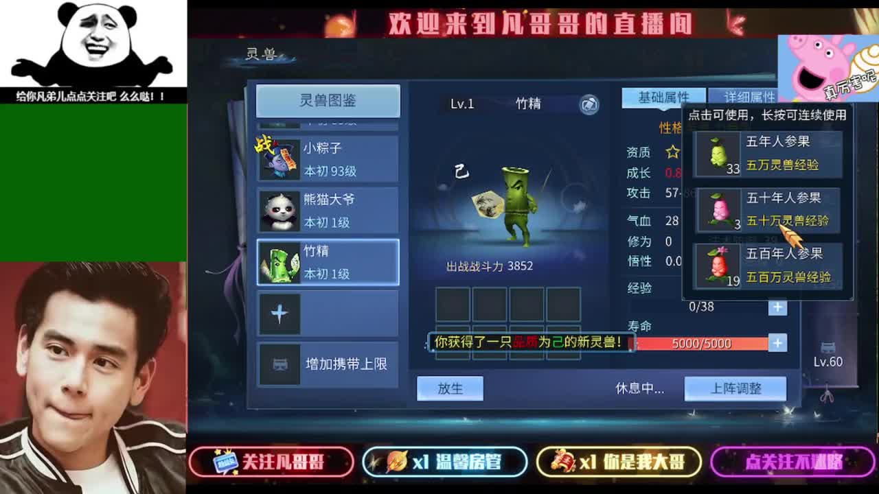 纵横天下的小伙伴在哪儿 第7段