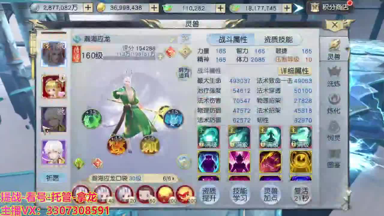 接H舞阳指挥教学 第1段