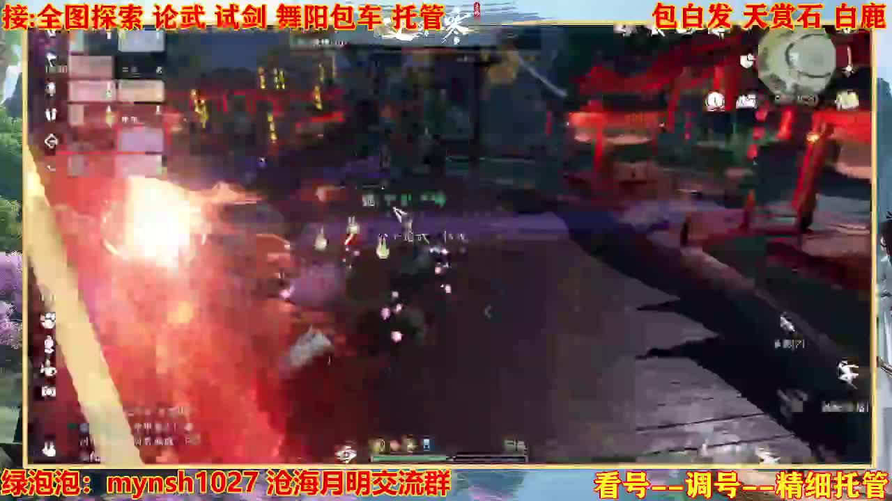 接H舞阳指挥教学