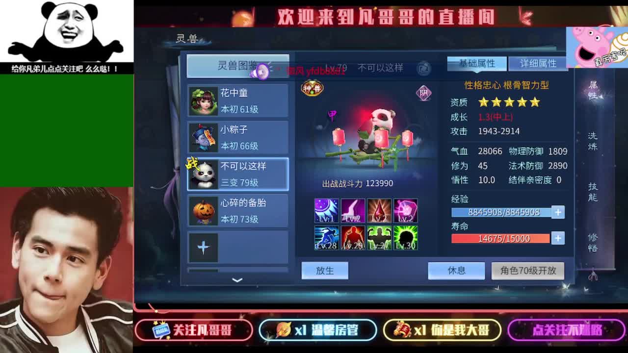 纵横天下的小伙伴在哪儿 第5段