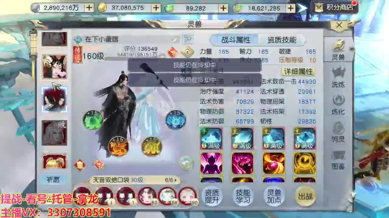 接H舞阳指挥教学 第5段
