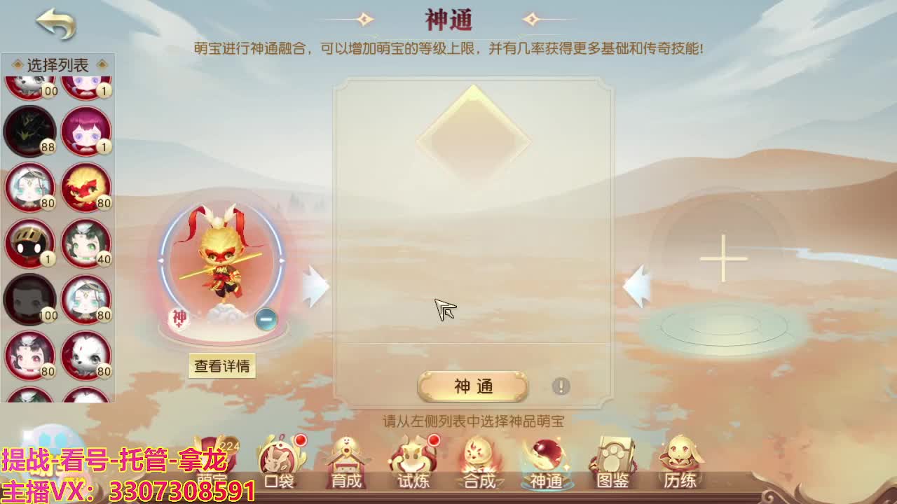 接H舞阳指挥教学 第6段