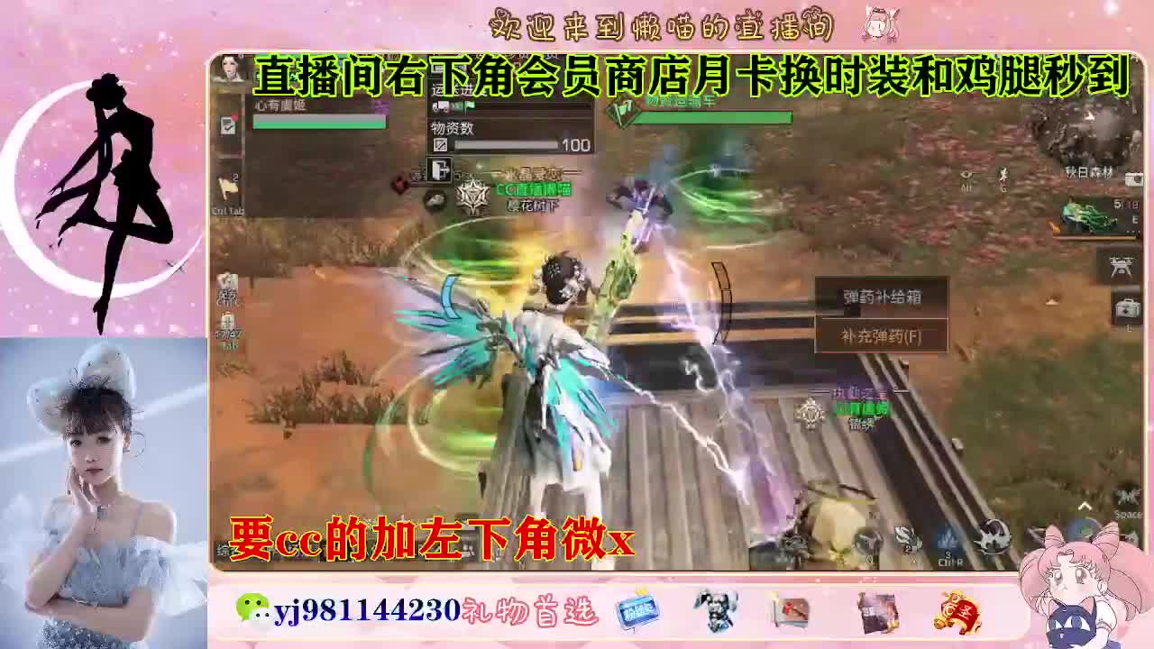 30天cc秒发 共创 正式都有 第1段