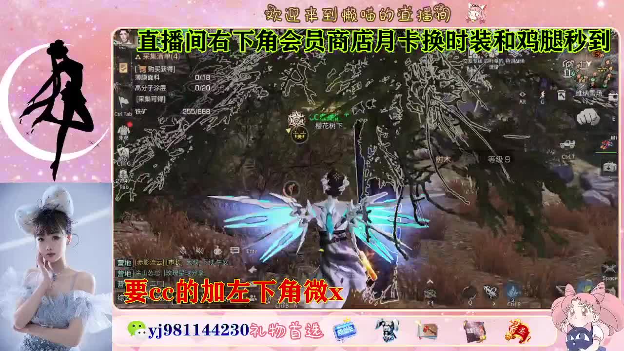 30天cc秒发 共创 正式都有 第5段