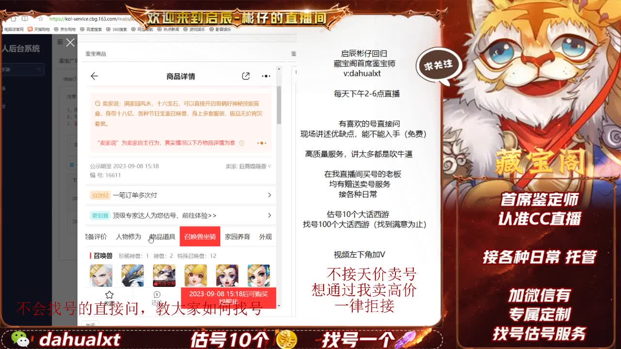 藏宝阁看号估号 第5段