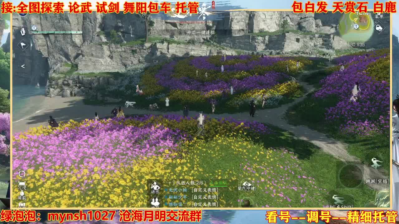 接H舞阳指挥教学 第8段