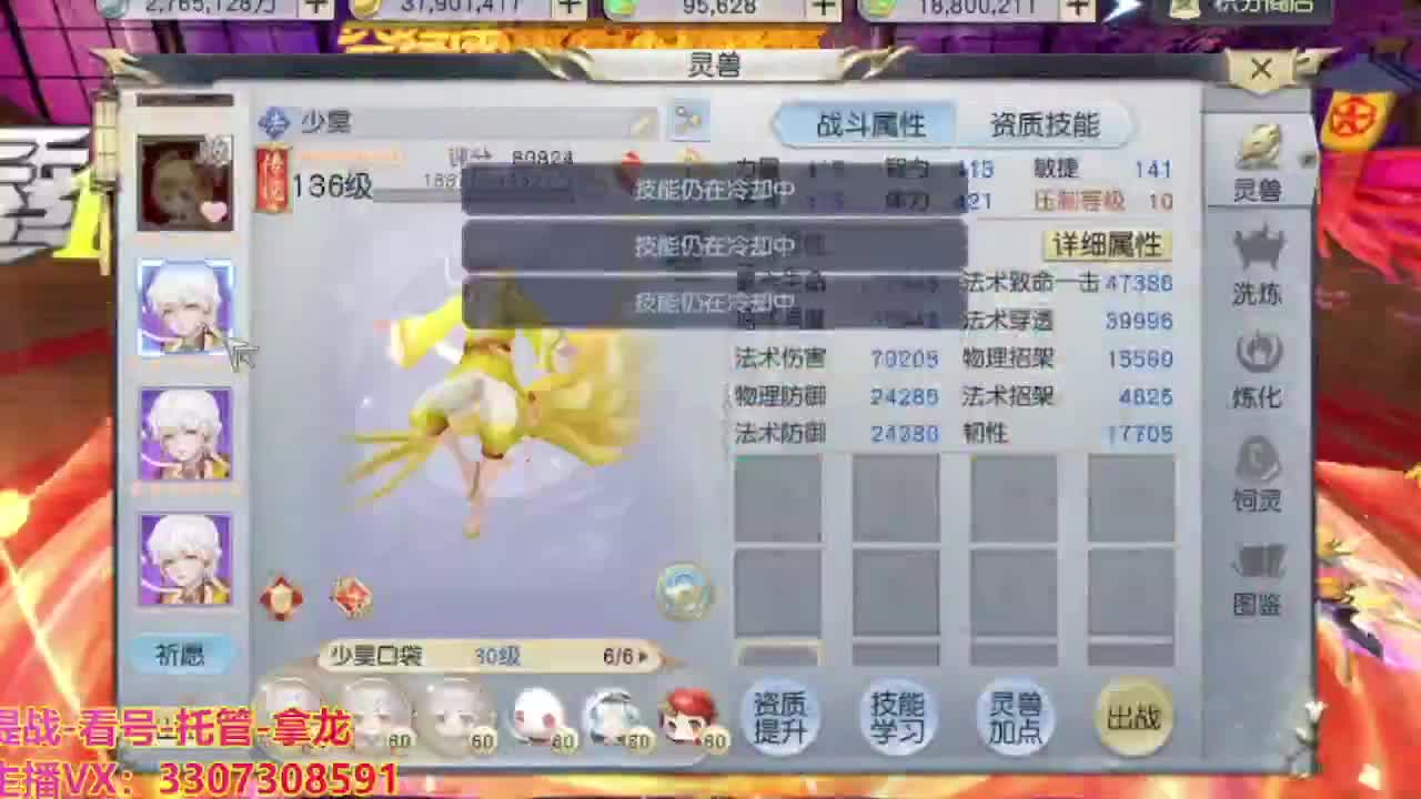 接H舞阳指挥教学 第9段