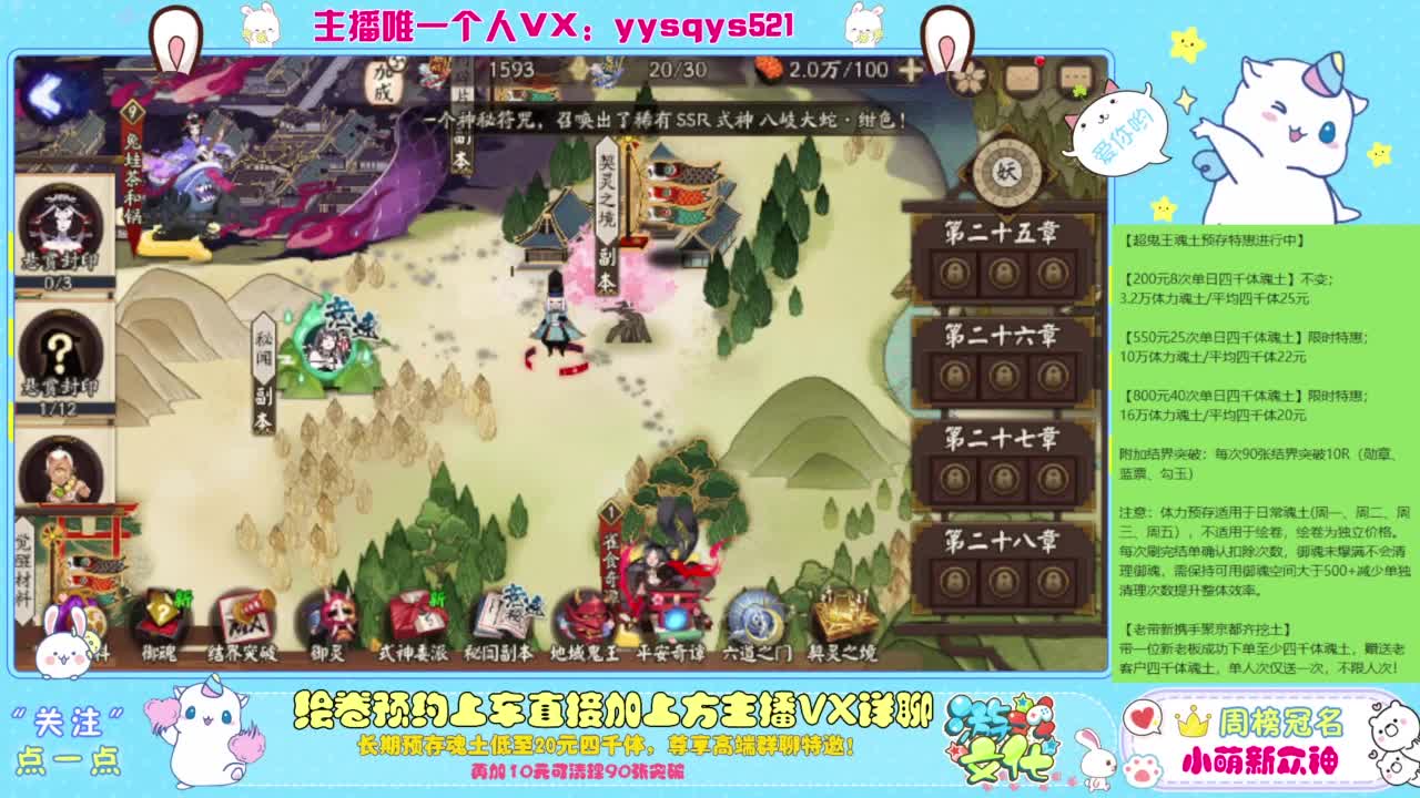 接私人定置,魂土预存,百星,超鬼王,崽战 第1段