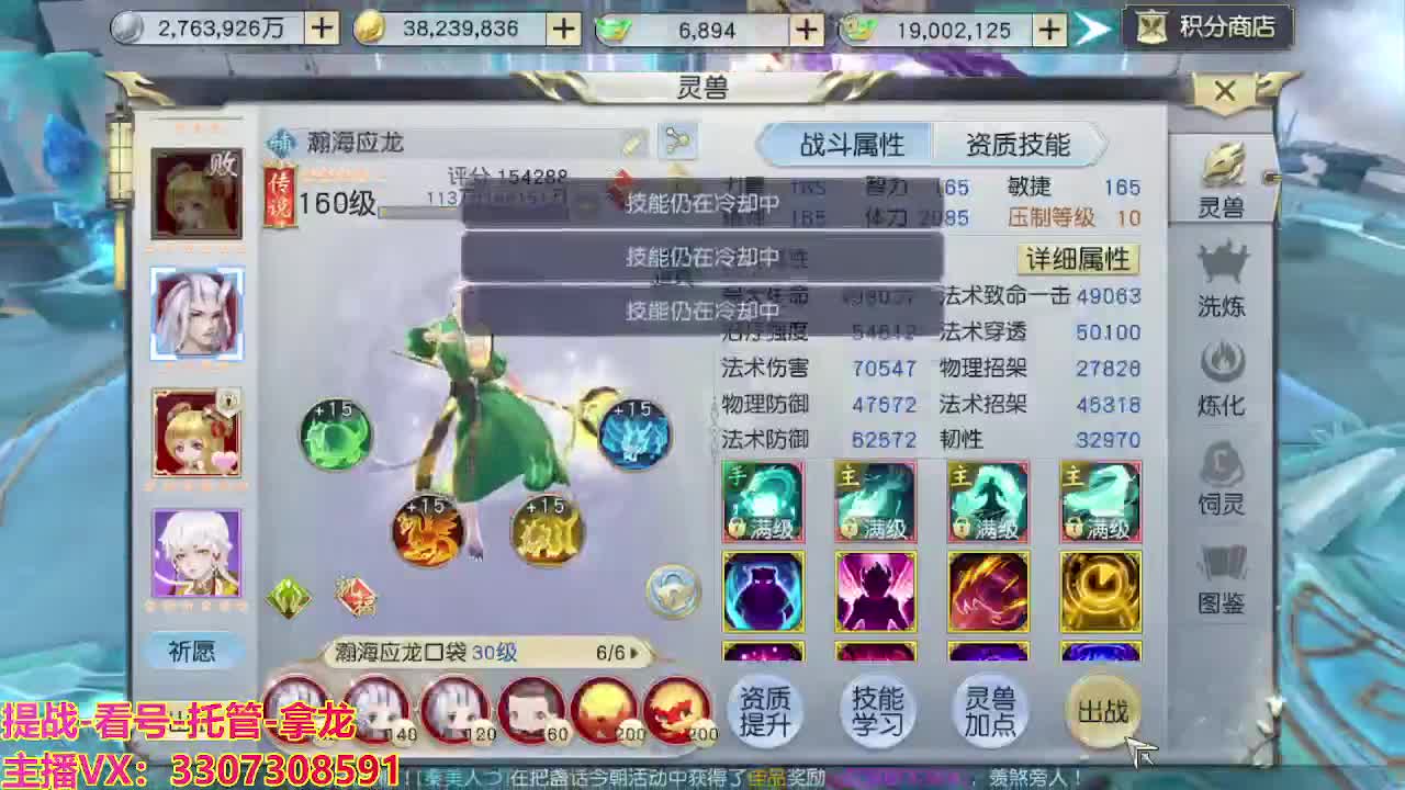 接H舞阳指挥教学 第7段