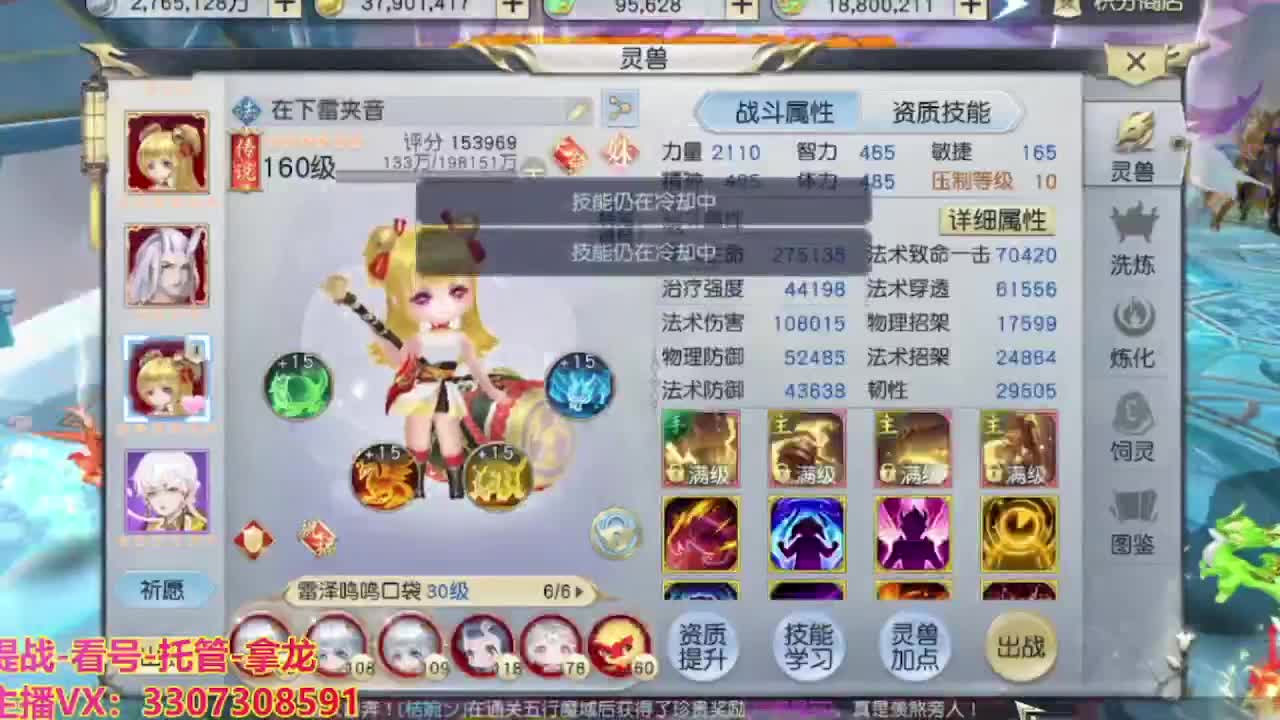 接H舞阳指挥教学 第10段