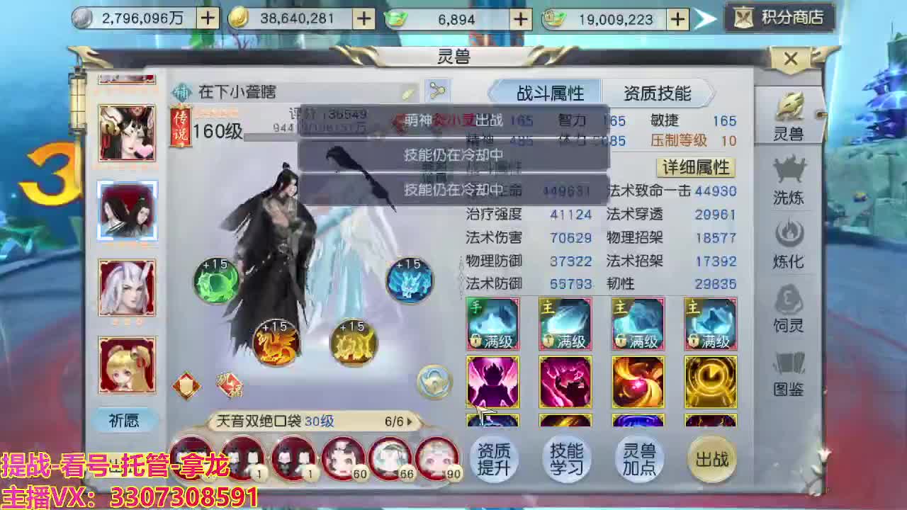 接H舞阳指挥教学 第13段