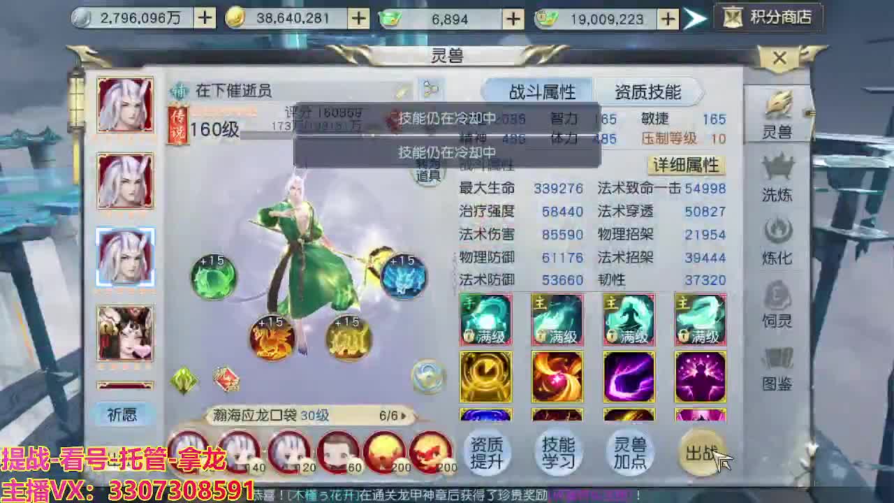 接H舞阳指挥教学 第1段