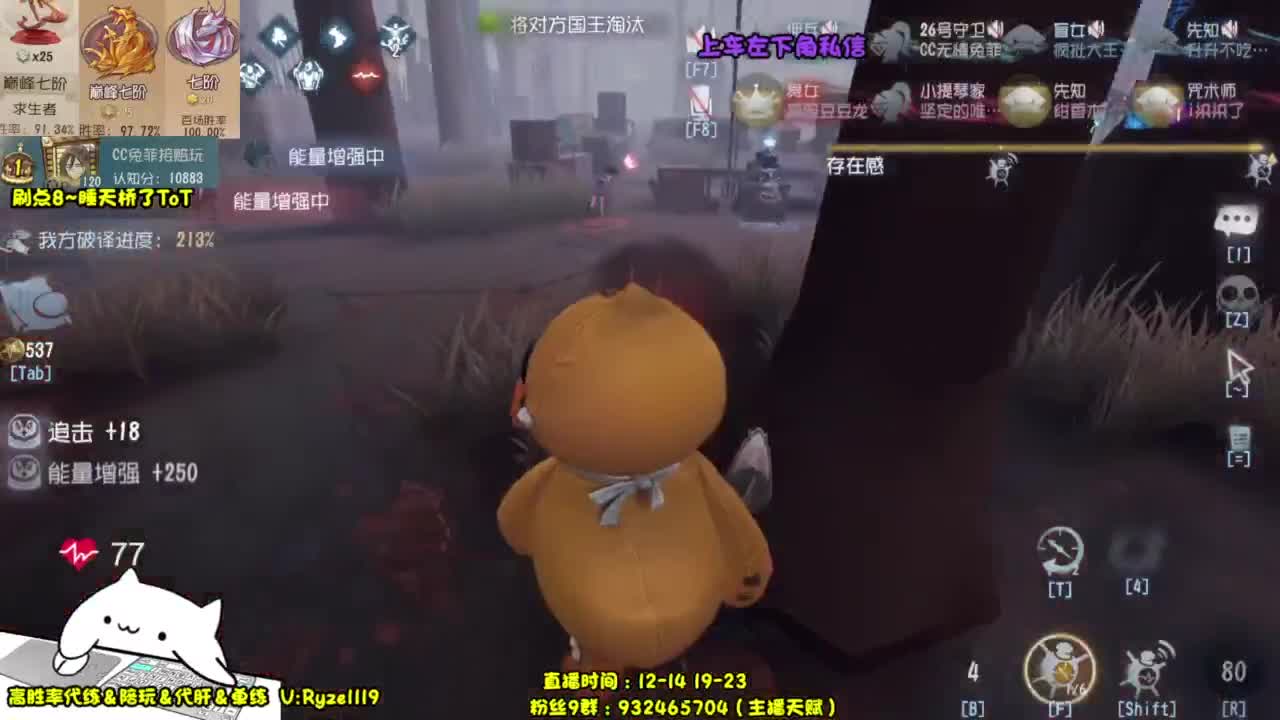 【国服最强带粉】 第11段