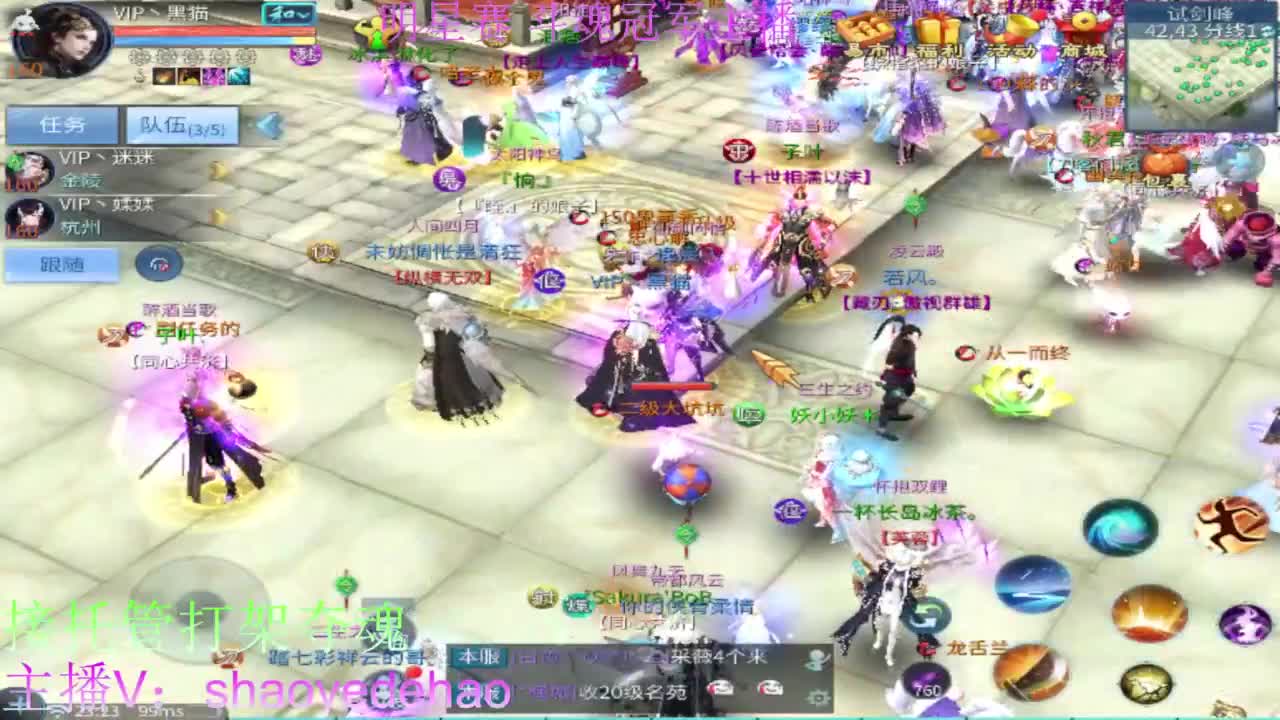 接托管打架 斗魂比武首席背饰 第5段