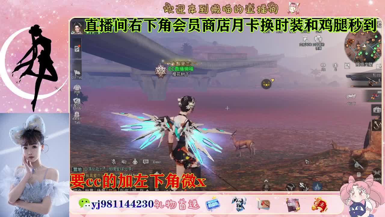 30换cc 第5段