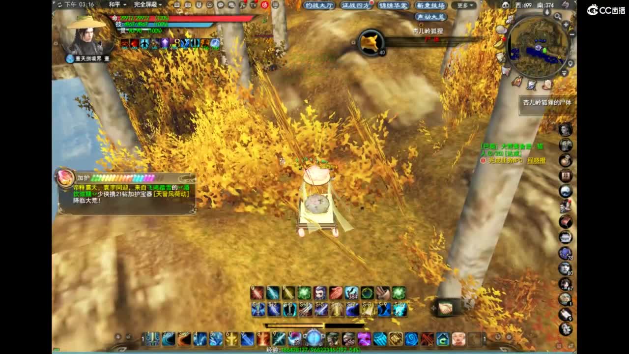 云水禅心