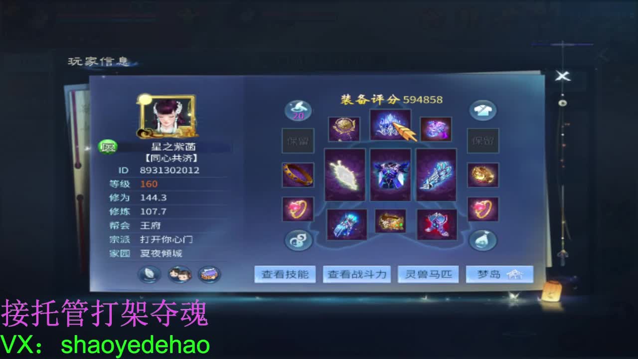 接托管打架 斗魂比武首席背饰 第10段