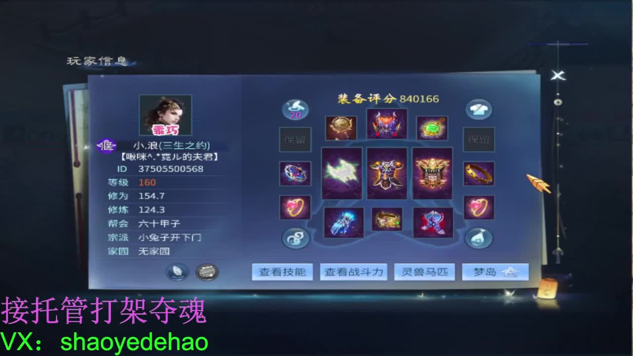 接托管打架 斗魂比武首席背饰 第7段