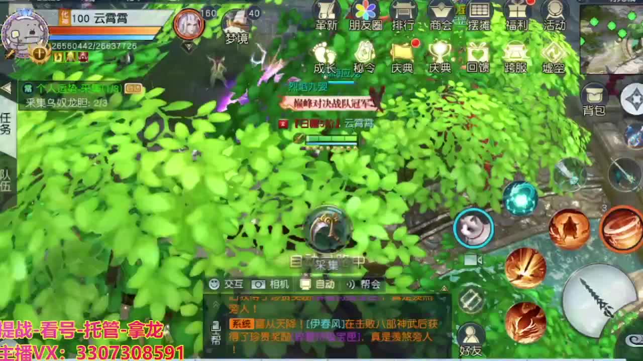接舞阳秘境托管！ 第11段