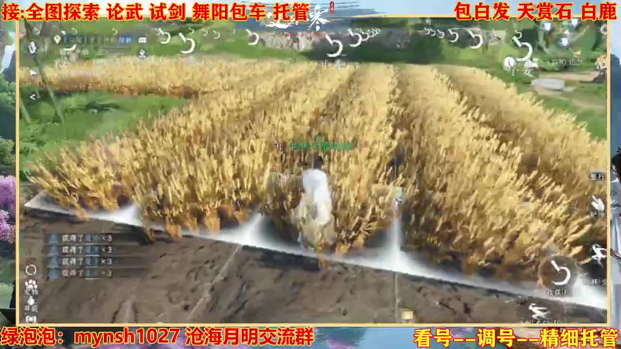 接舞阳秘境托管！ 第7段